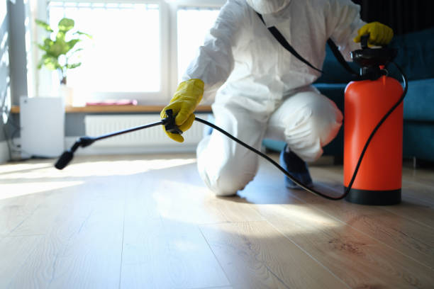 Reliable Biohazard contractor in Mina, NV by Trauma Clean Pros